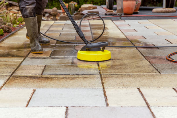 Best Solar Panel Cleaning  in Alta, IA